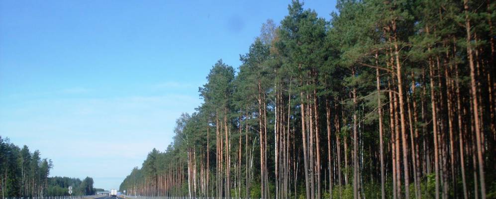 Фотография Гордово