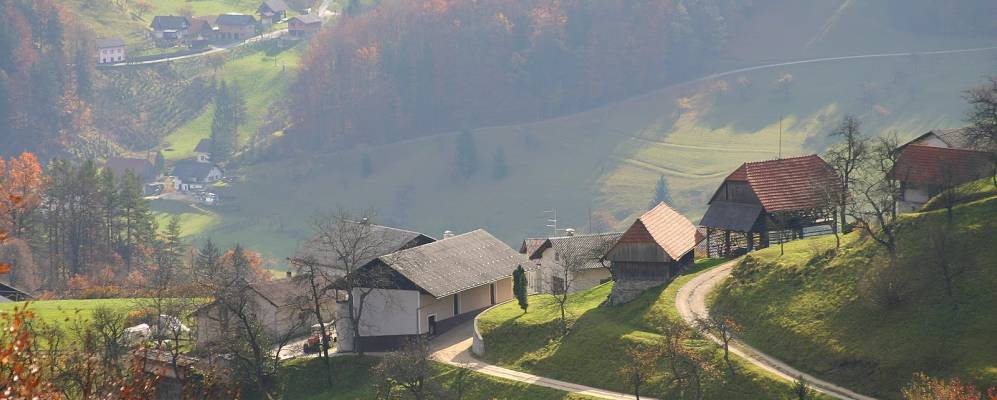 
            Фотография Лашко