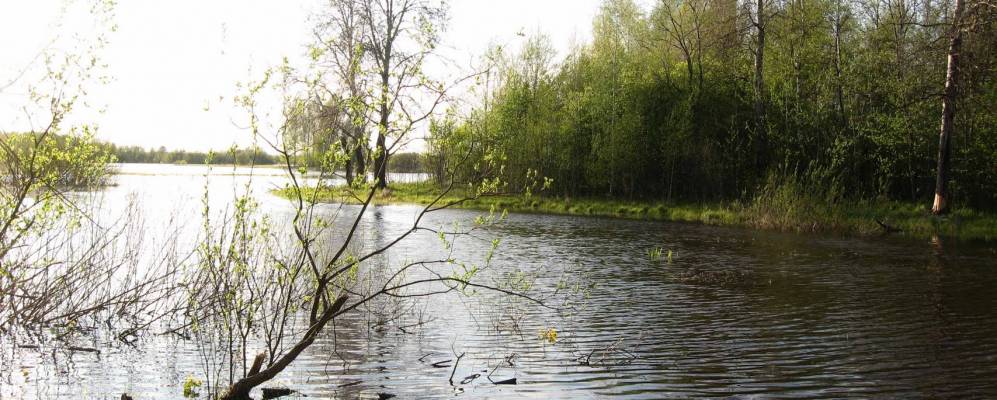 
            Фотография Лихачево