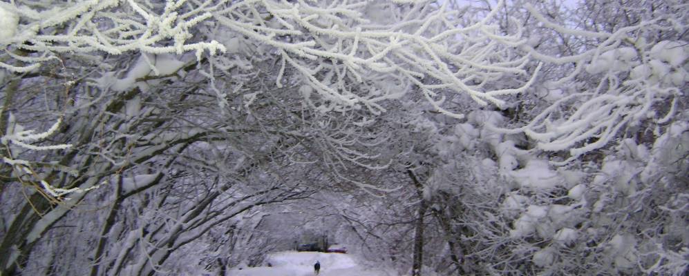 
            Фотография Вариксолово