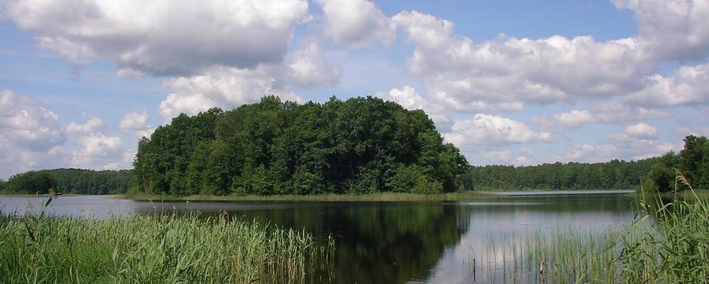 Фотография Иватино