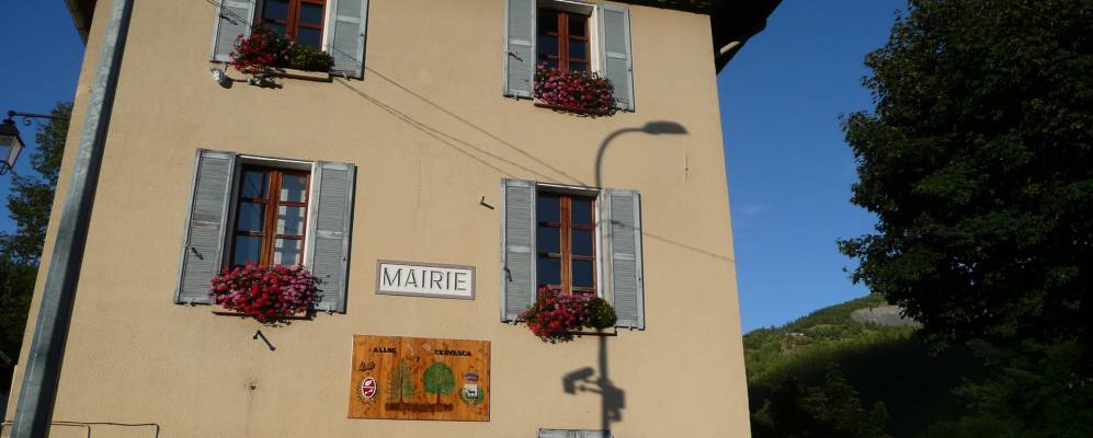 
            Фотография Аллоса