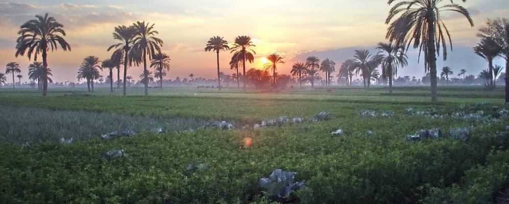 
            Фотография Сумаста ас Султани