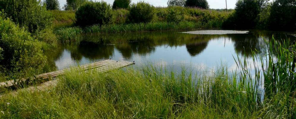 
            Фотография Андреевского