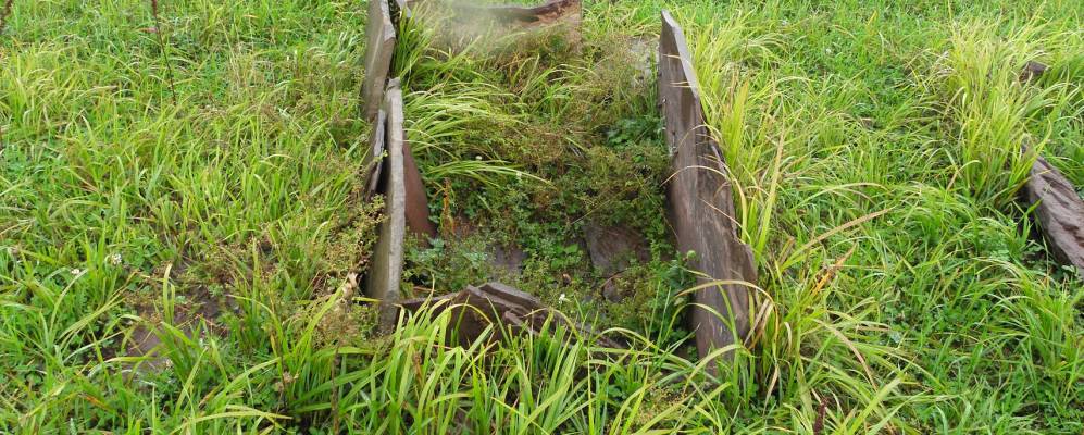 
            Фотография Мохова