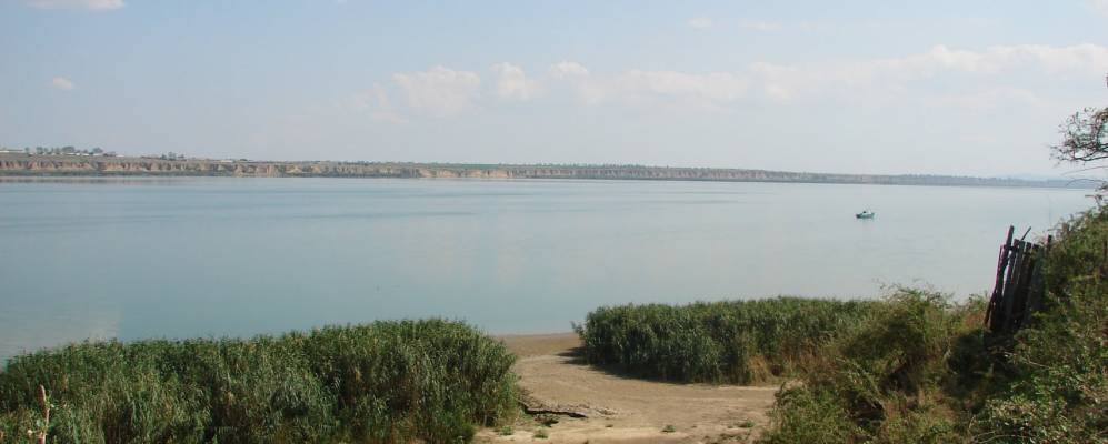 
            Фотография Лиманского