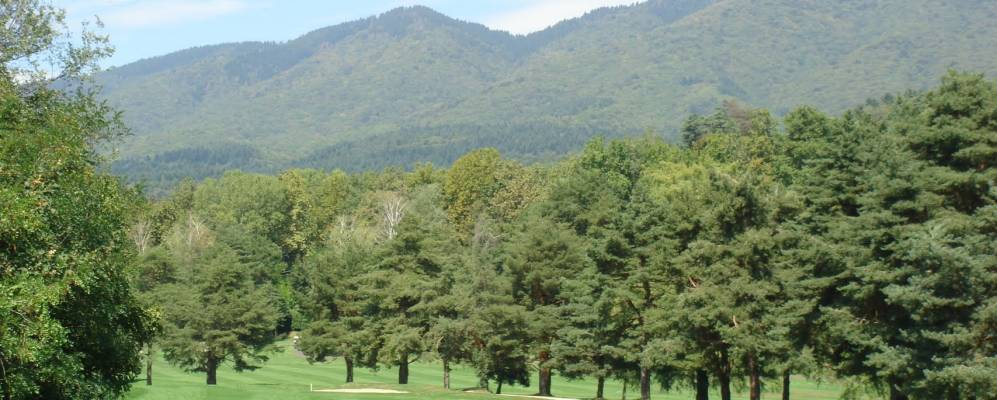 
            Фотография Барассо