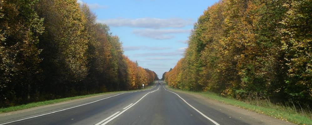 
            Фотография Орлика