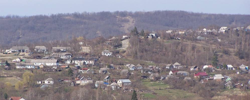 
            Фотография Подольского