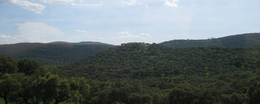 
            Фотография Arroyomolinos de León