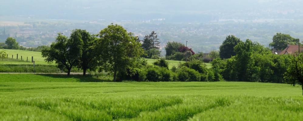 
            Фотография Жюзье