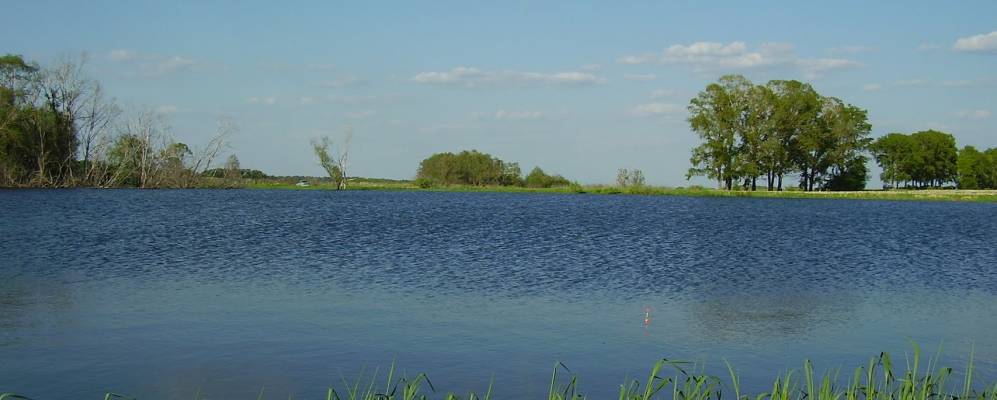 
            Фотография Сарайгировского отделения Уртакульского совхоза