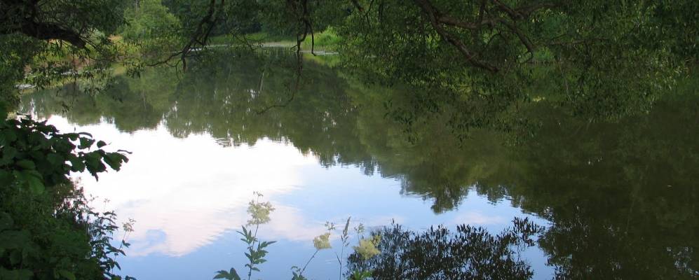 
            Фотография Кулешово