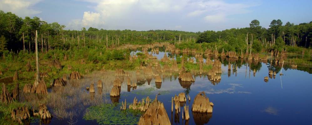 
            Фотография Веуохичкы