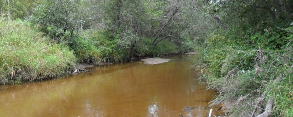 
            Фотография Дорофеево