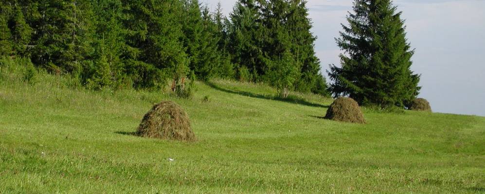 
            Фотография Сандырево