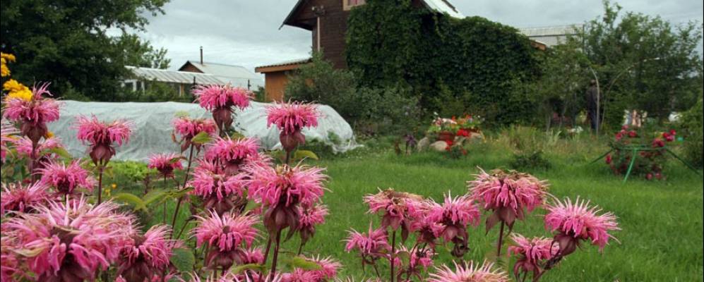 
            Фотография Митянино