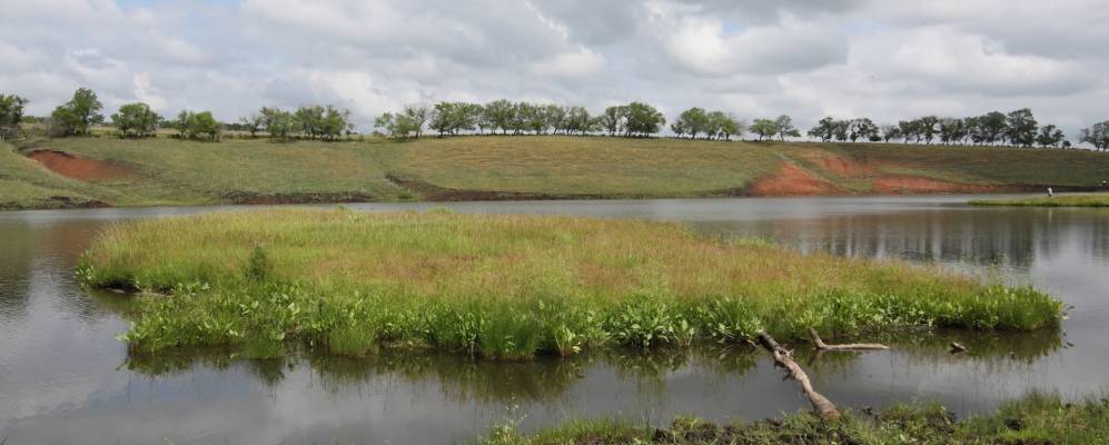 Фотография Барсуана