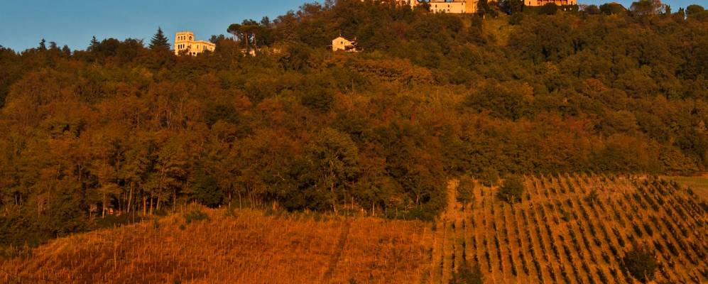 
            Фотография Риванаццано