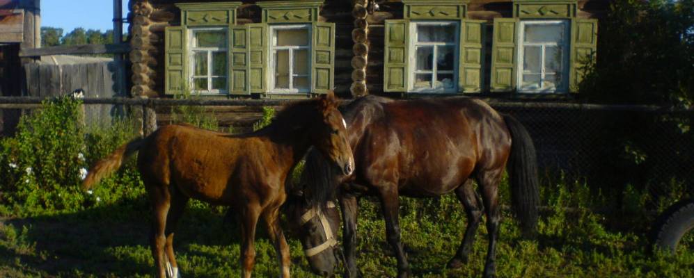 
            Фотография Озерного