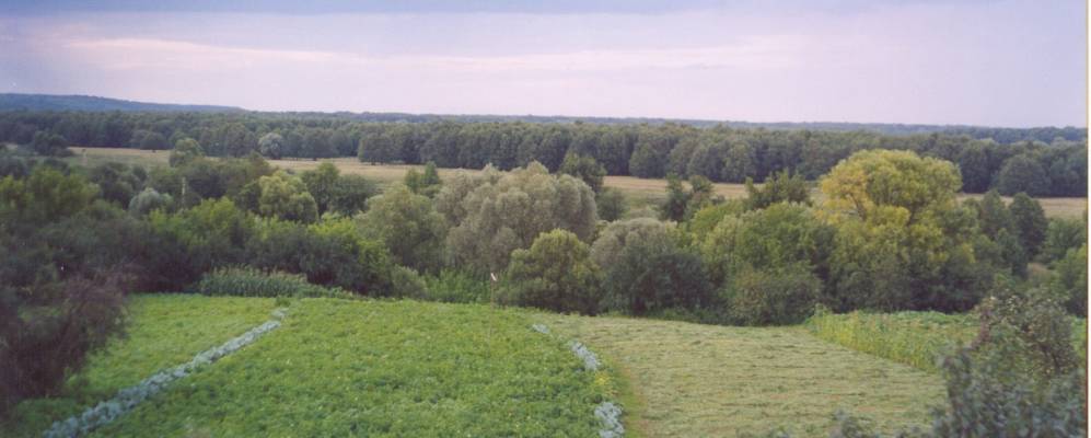 
            Фотография Лугового