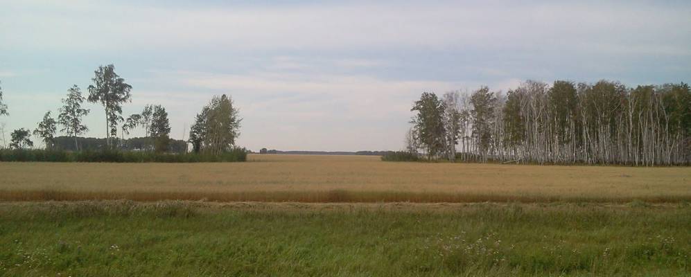 
            Фотография Кайдаула