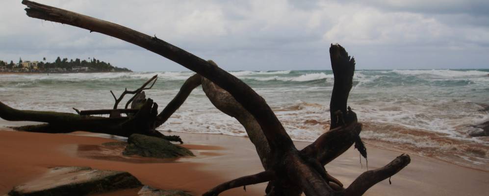 
            Фотография Лукильо