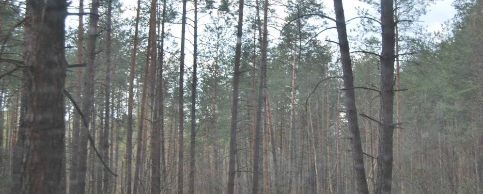 Фотография Сушанов