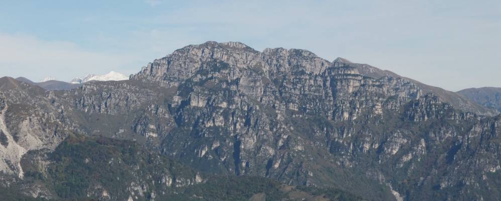 
            Фотография Мура