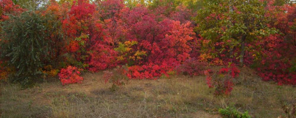 
            Фотография Верхнего Куяльника