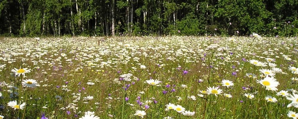 Фотография Быково