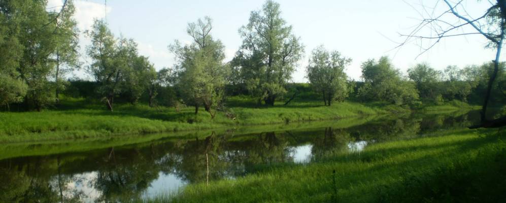 
            Фотография Журавлевы