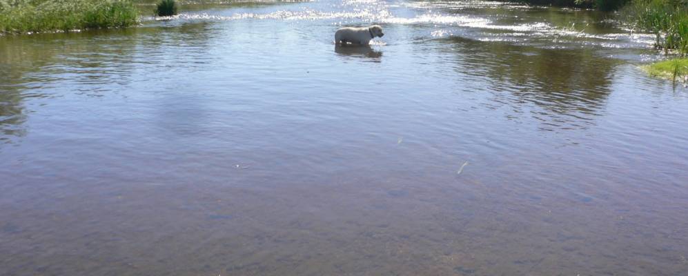 
            Фотография Ореховской