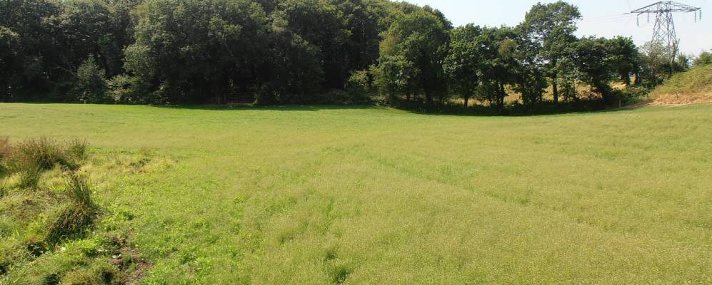 
            Фотография Данманвей