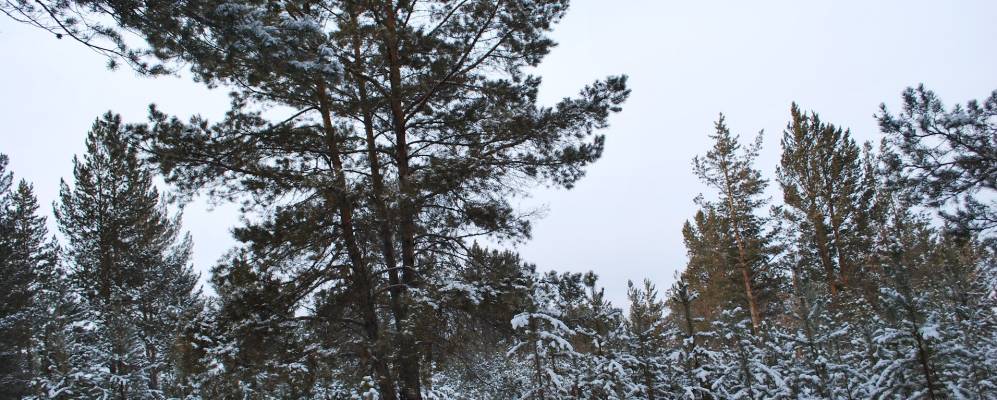 
            Фотография Ильки