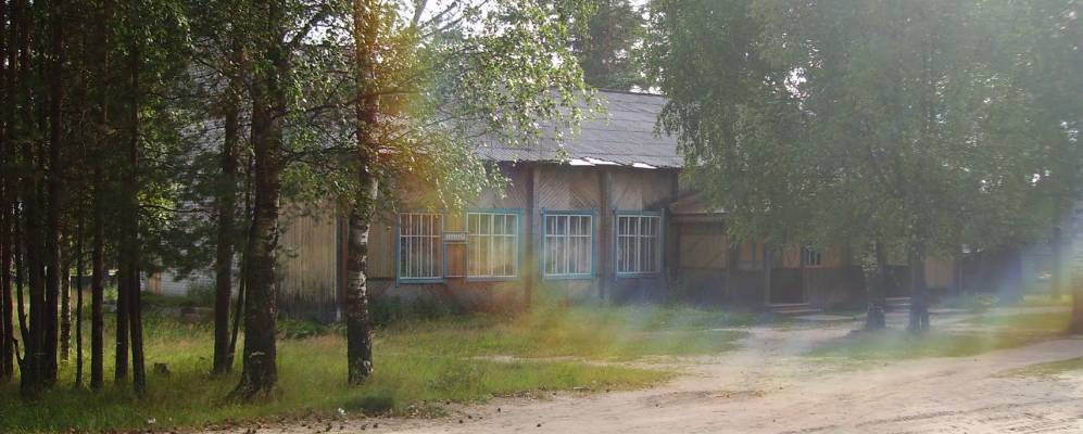 
            Фотография Замардвинья