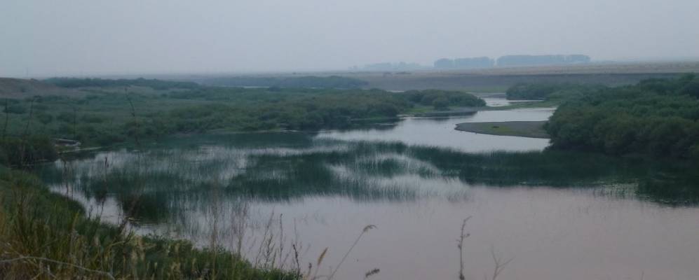 
            Фотография Знаменки