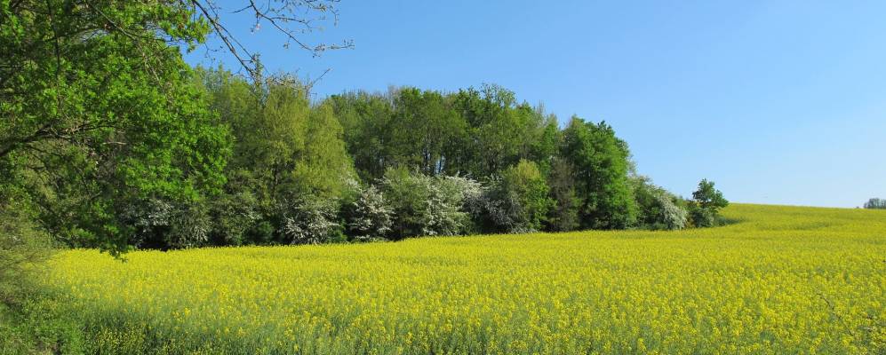 
            Фотография Обьяка