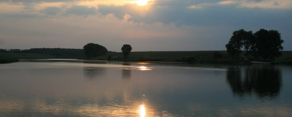 
            Фотография Саврани