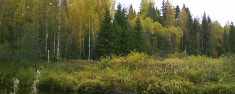 Фотография Першинской