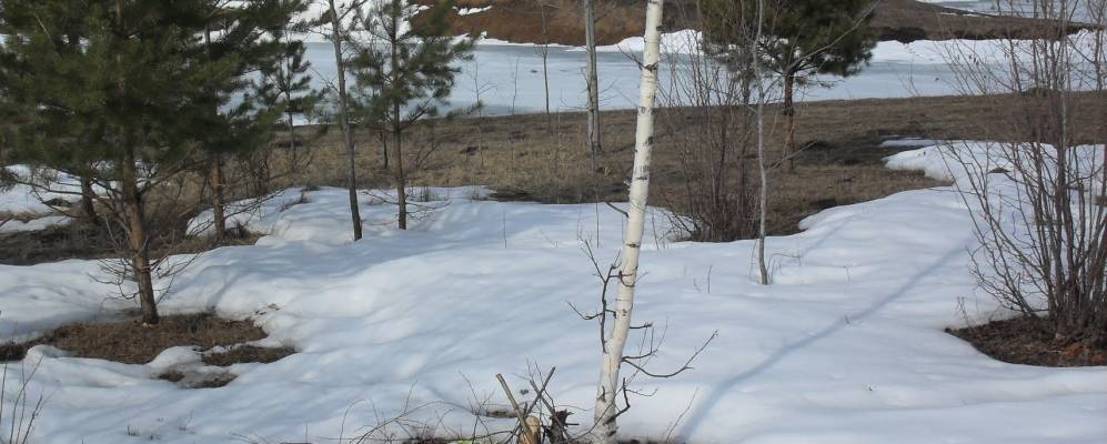 
            Фотография Эмметево