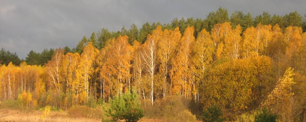 
            Фотография Озереды