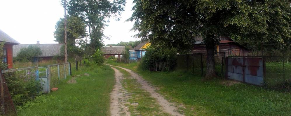 Фотография Вульки