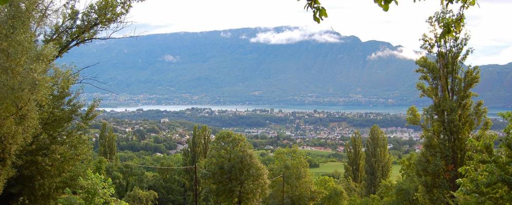 
            Фотография Мукси