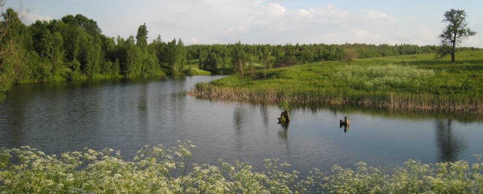 Фотография Бакино