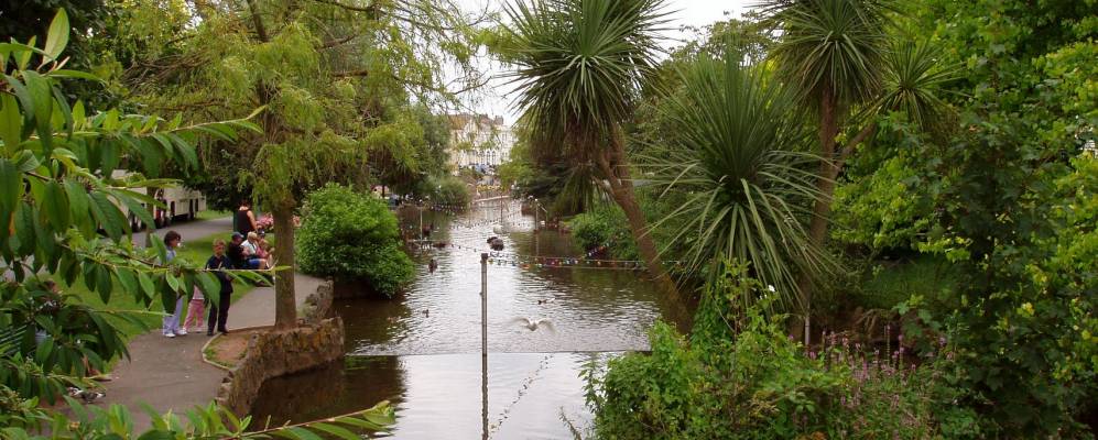 
            Фотография Долиша