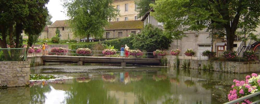 
            Фотография Монаржи