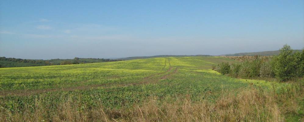 
            Фотография Выписки