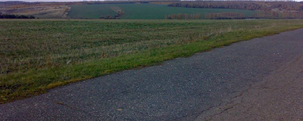 
            Фотография Чиреси