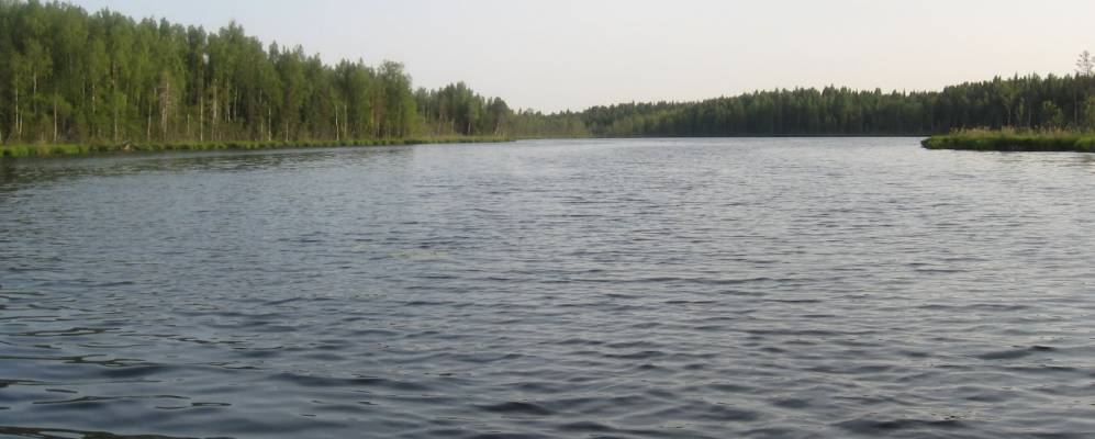 
            Фотография Попово-Зимнего